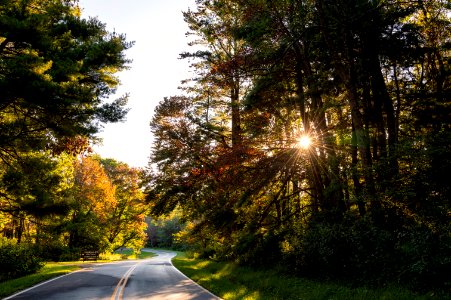 Early Fall Colors at Elkwallow