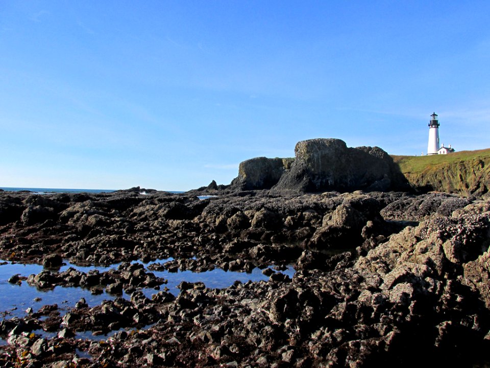 Lighthouse at Yaquina Head in Newport, OR