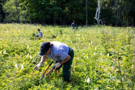 Groundwork RVA's Green Team