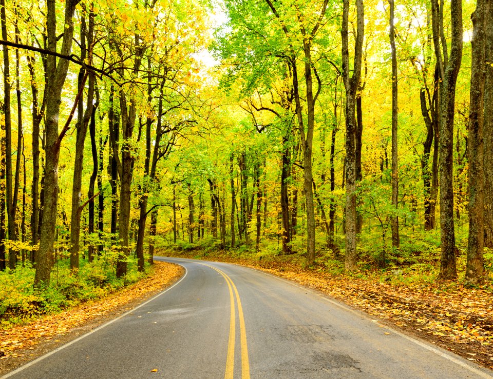 Early Fall at Low Gap