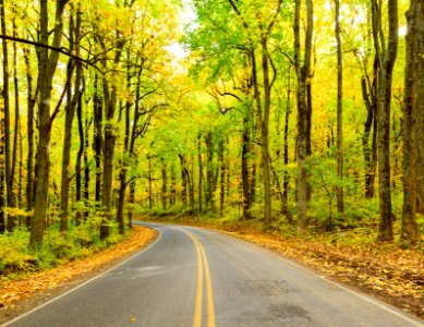 Early Fall at Low Gap