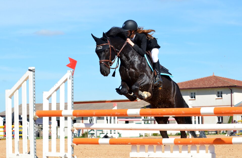 Horseback riding jumping obstacle sport