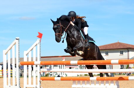 Horseback riding jumping obstacle sport