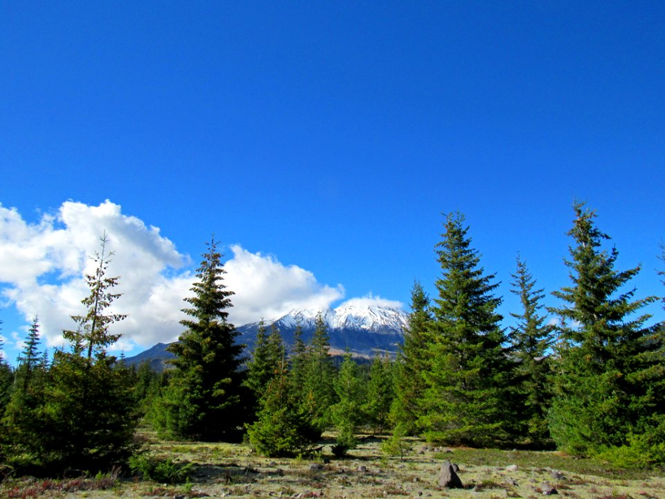 Lahar Viewpoint at Mt. St. Helens NM in WA