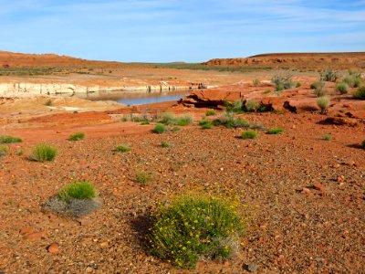 Lake Powell Reservoir Area in AZ