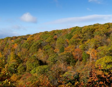 Fall Color - Pinnacles Overlook
