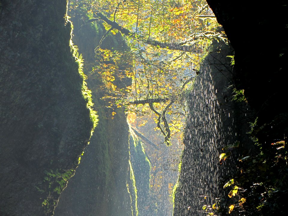 Oneonta Gorge at Columbia River Gorge in OR