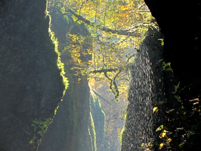 Oneonta Gorge at Columbia River Gorge in OR