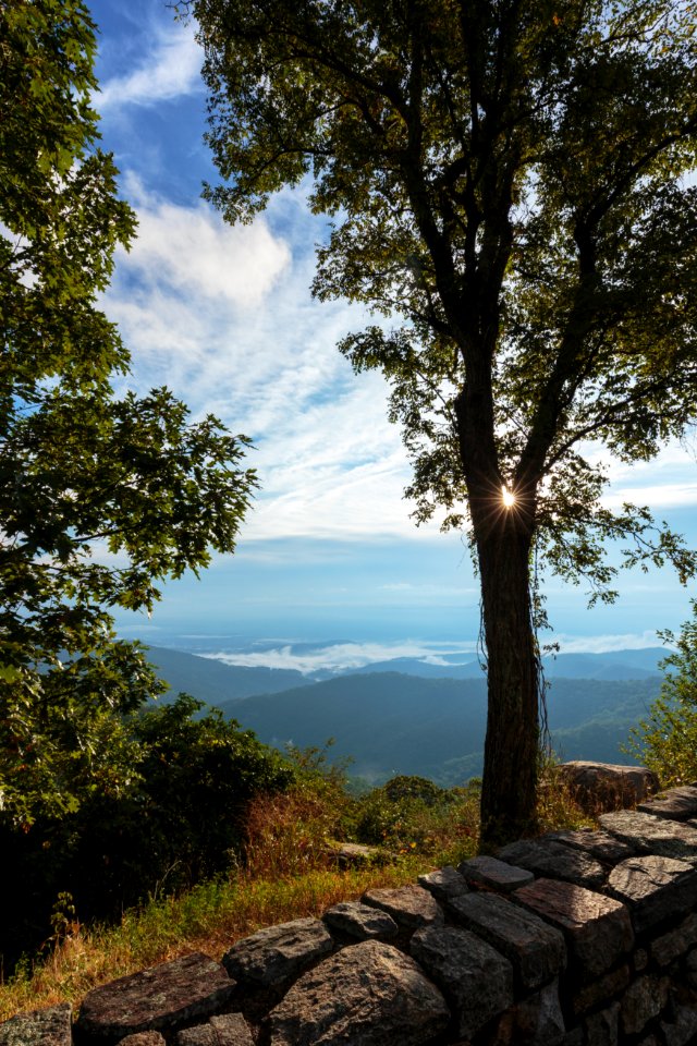 Sunstar at Buck Hollow Overlook