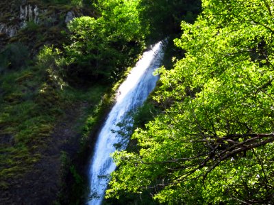 Horsetail Falls at Columbia River Gorge in Oregon photo