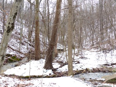 Winter at Harpers Ferry National Historical Park