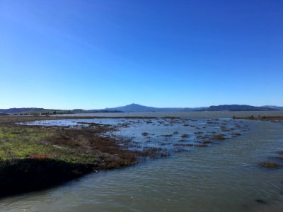 Dotson Family Marsh, Richmond CA