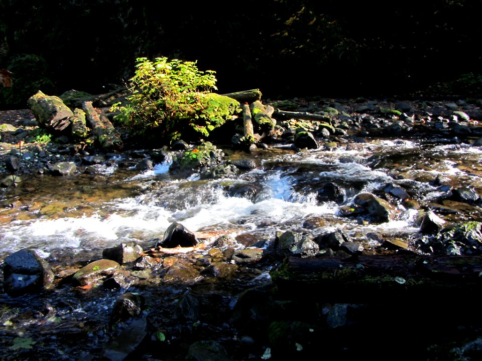 Oneonta Gorge at Columbia River Gorge in OR