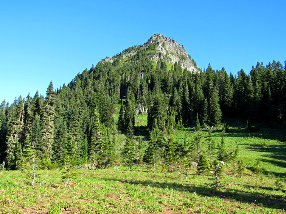 Mt. Rainier NP in Washington