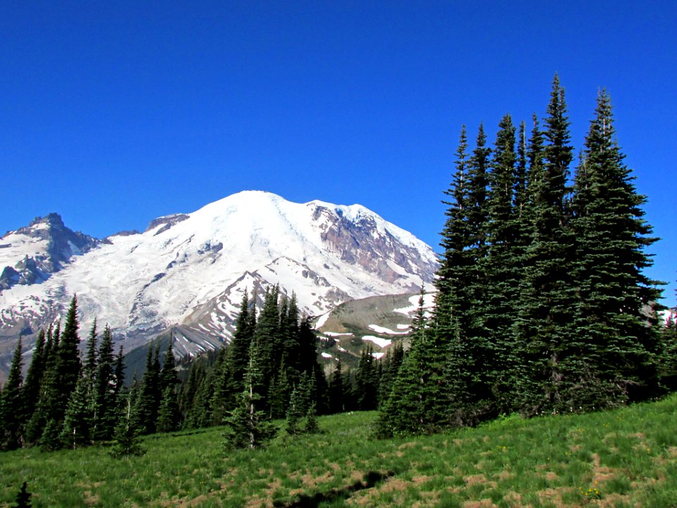 Sunrise Point at Mt. Rainier NP in Washington