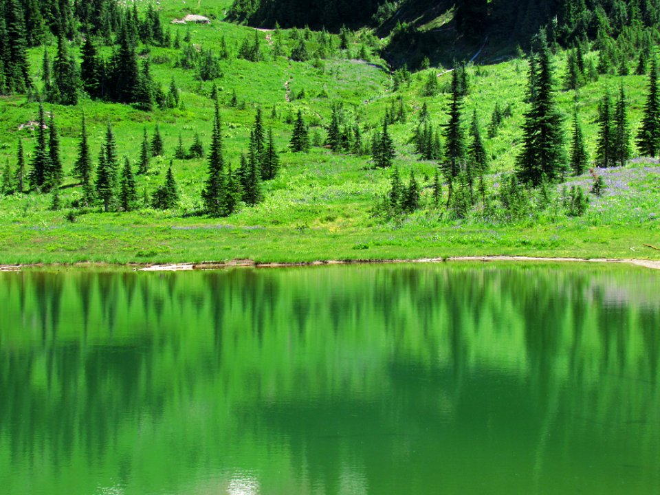 Tipsoo Lake at Mt. Rainier NP in WA