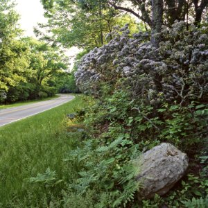 Skyline Drive photo