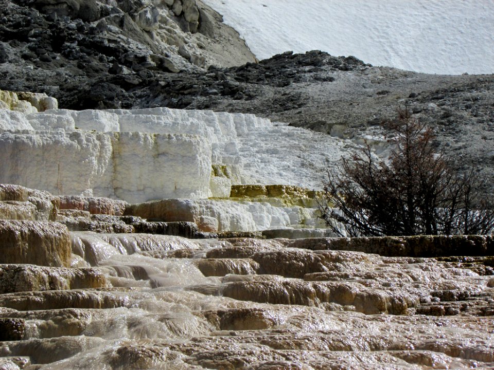 Yellowstone NP in WY