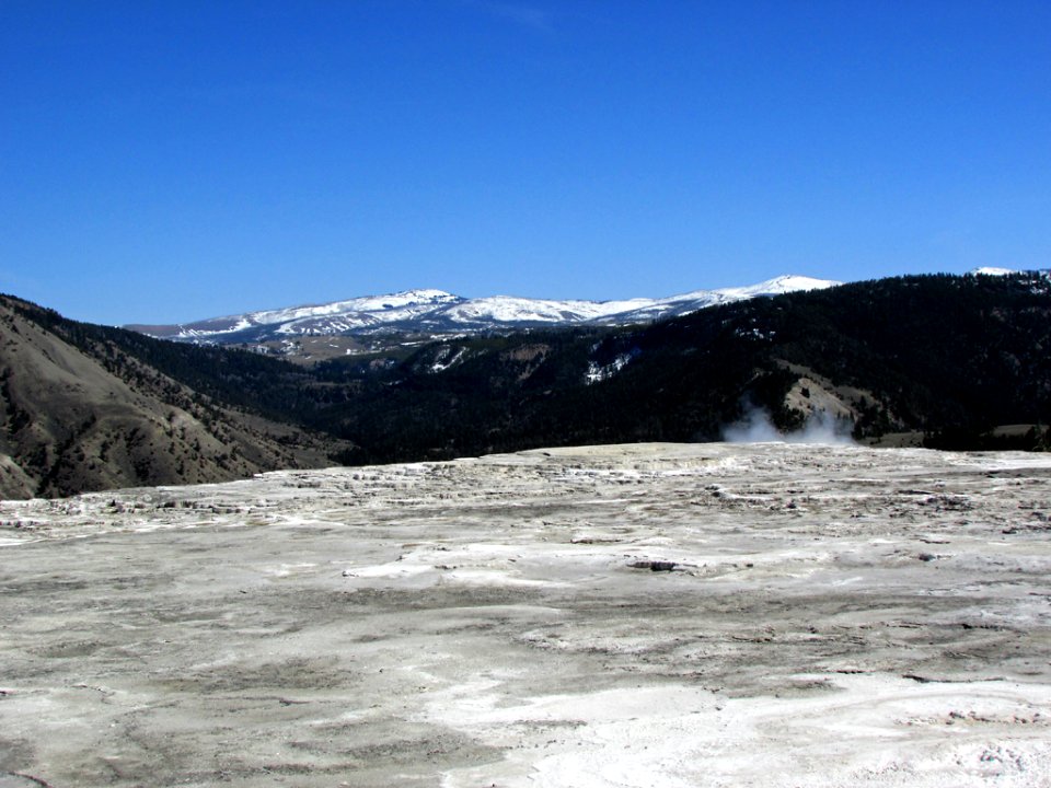 Yellowstone NP in WY