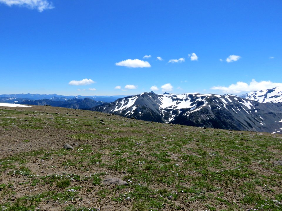 Mt. Rainier NP in Washington