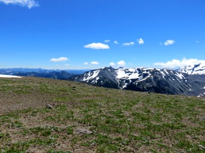 Mt. Rainier NP in Washington photo