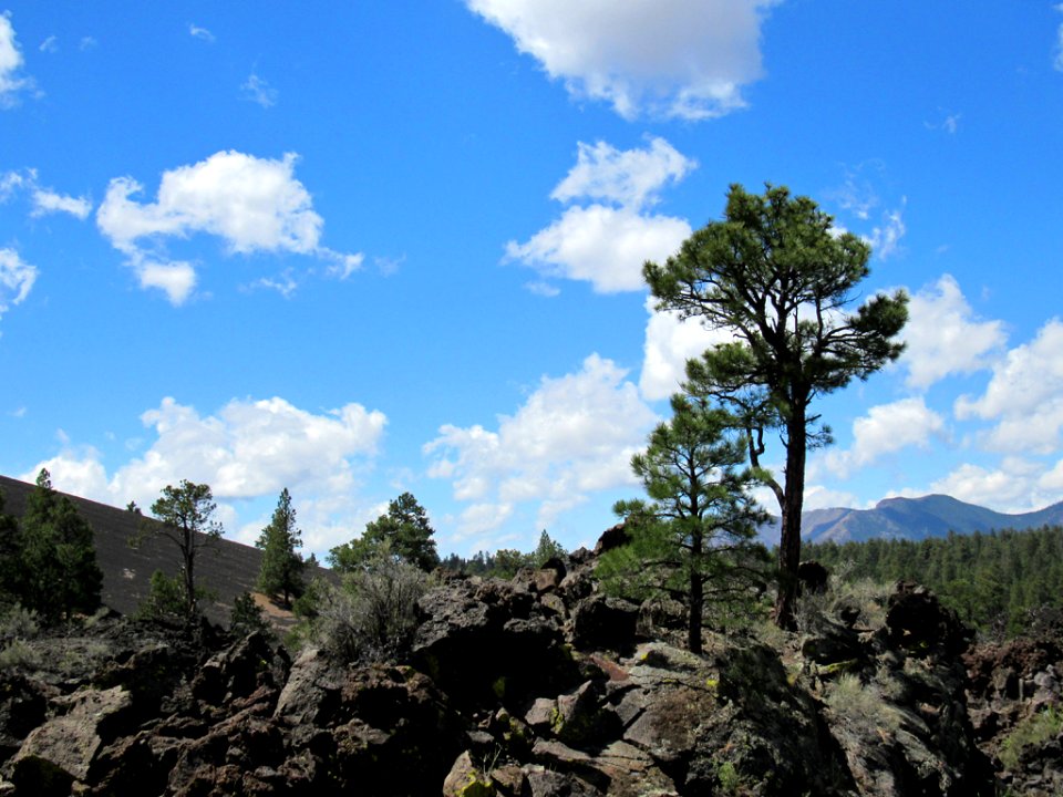 Sunset Crater Volcano NM in Arizona