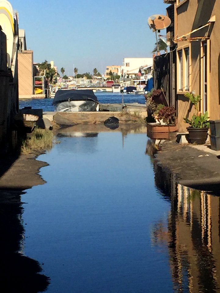 Huntington Harbor King Tides