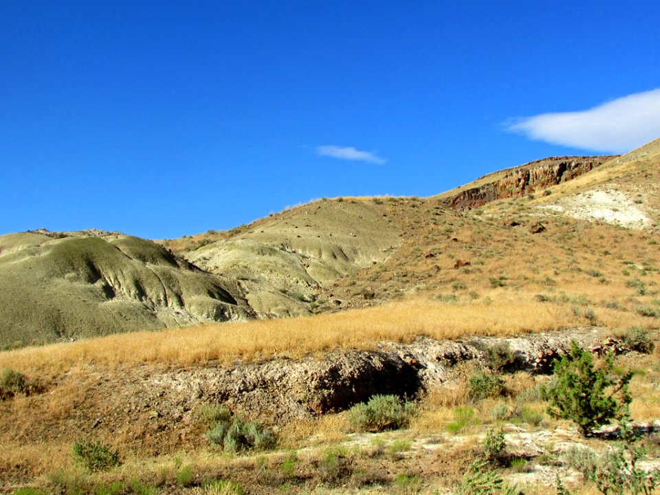 Painted Hills Unit at John Day Fossil Beds NM in OR