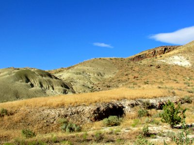 Painted Hills Unit at John Day Fossil Beds NM in OR photo