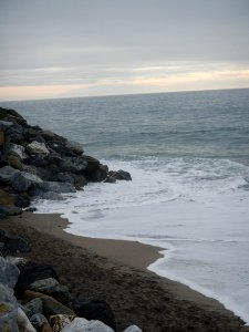 26th Ave Beach 2 King Tides 12/14/16 photo