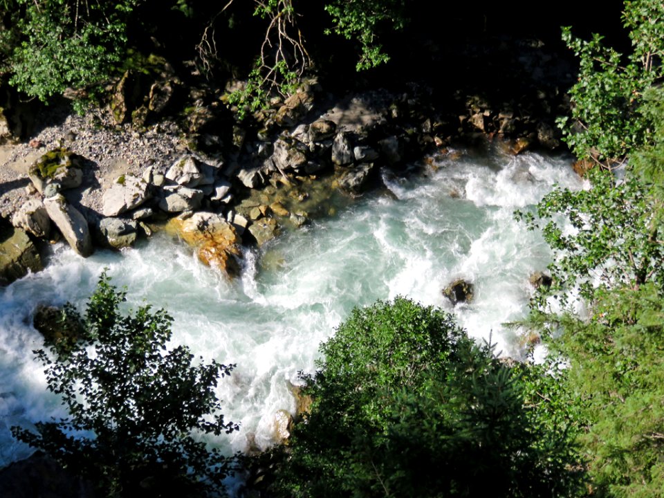 Nooksack River at Mt. Baker-Snoqualmie NF in Washington photo