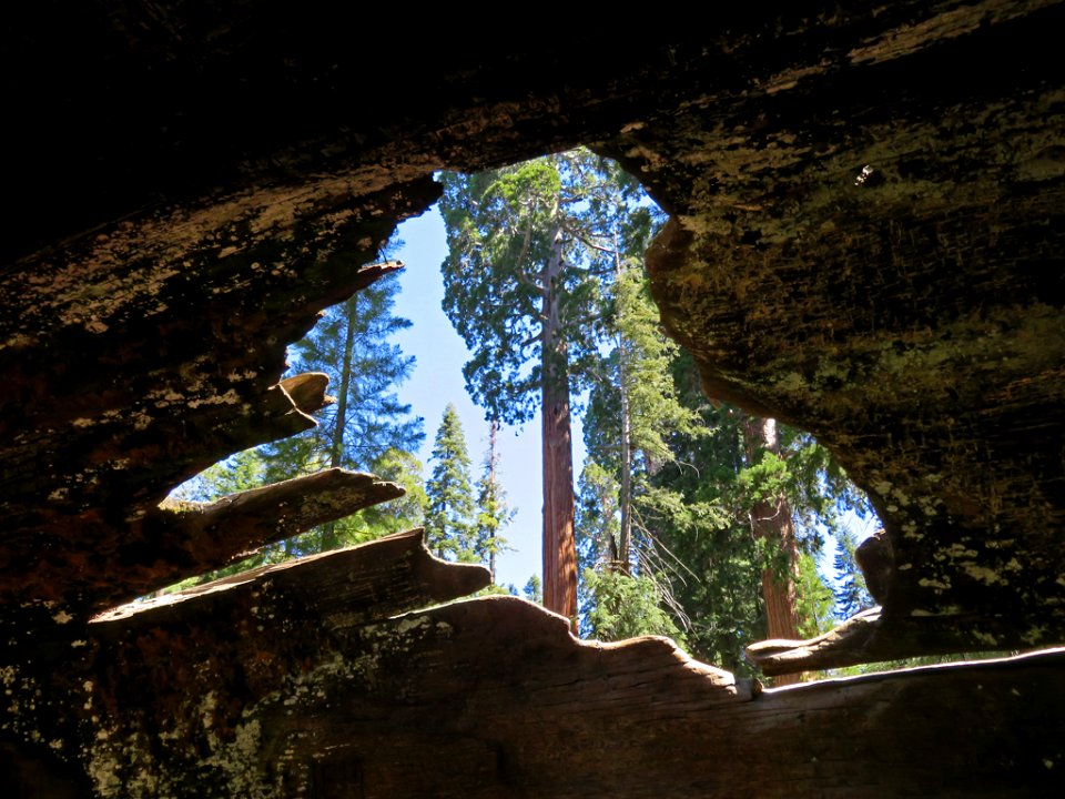 Kings Canyon NP in CA