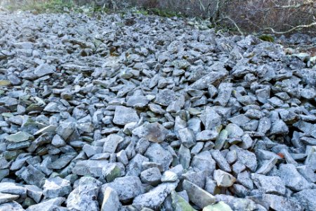 Talus Slopes