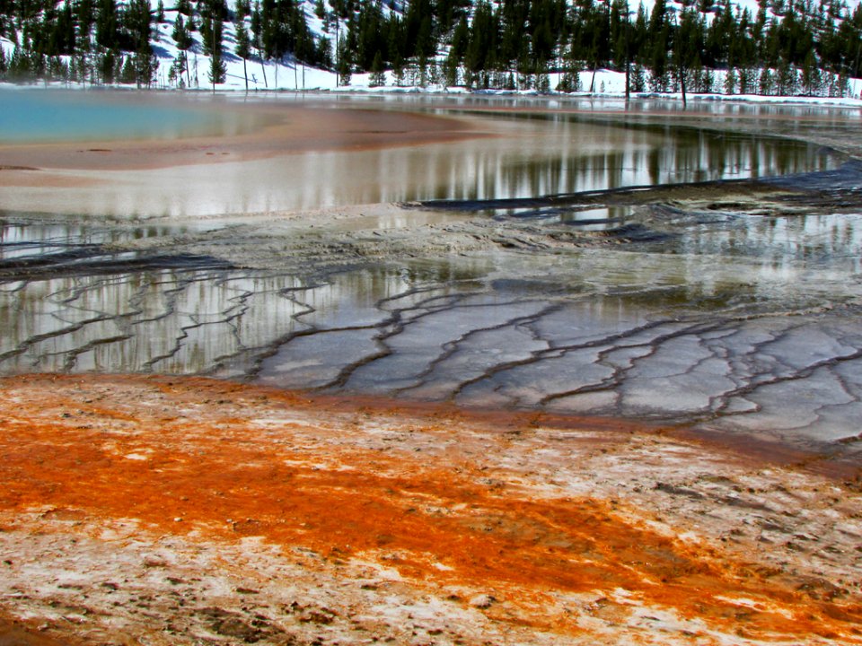 Yellowstone NP in WY