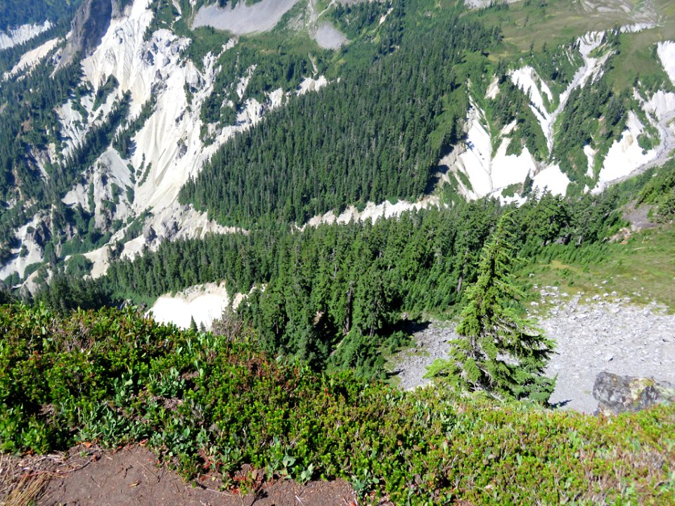 Mt. Baker-Snoqualmie NF in WA