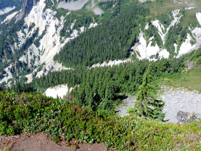 Mt. Baker-Snoqualmie NF in WA