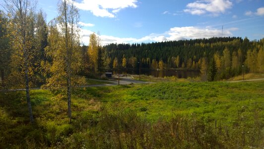 Field forest finland