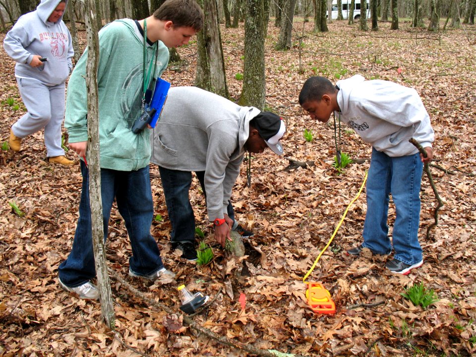 Salamander Transect Program