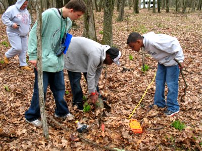 Salamander Transect Program