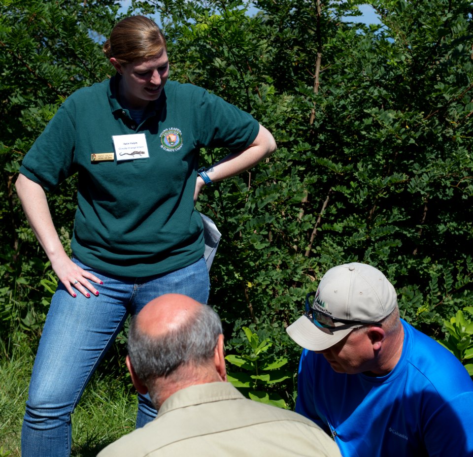 Practice Transect