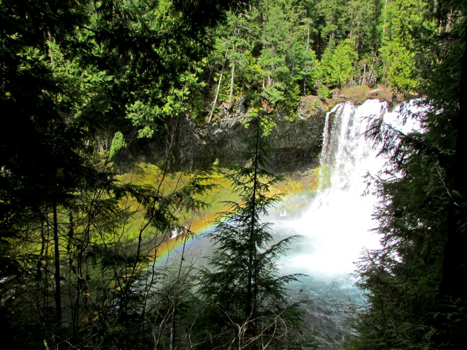Koosah Falls at McKenzie River in Central OR
