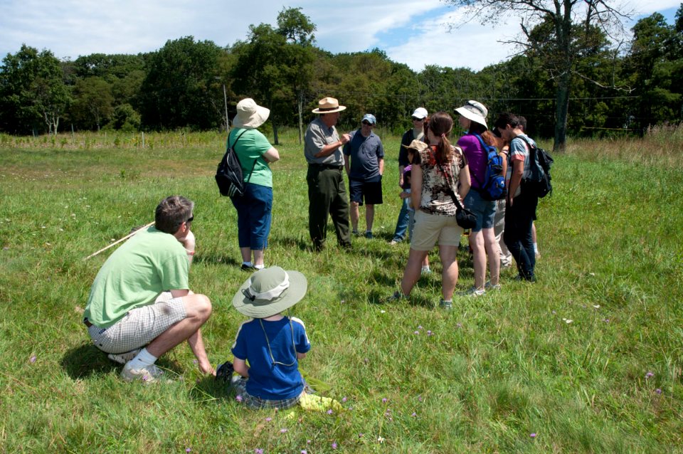 Big Meadow Walk