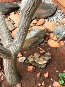 Rocks formed by nature