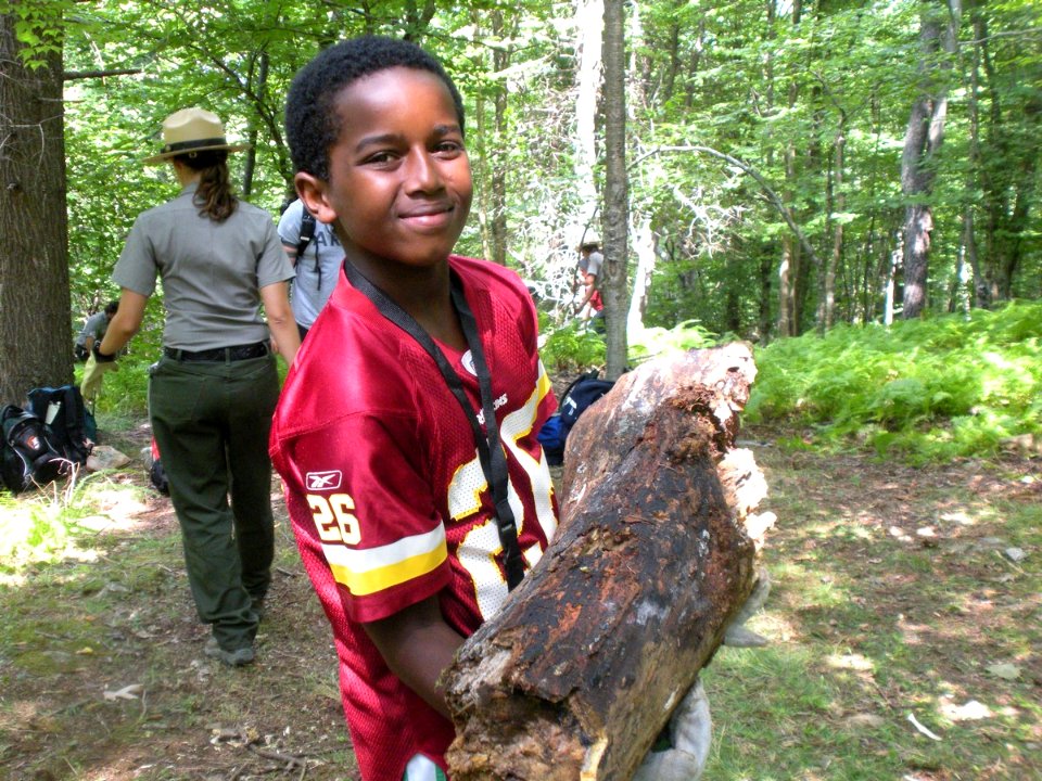 Carrying logs to rehab an illegal backcountry site