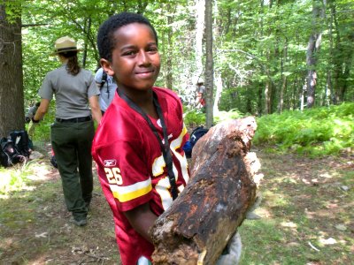 Carrying logs to rehab an illegal backcountry site
