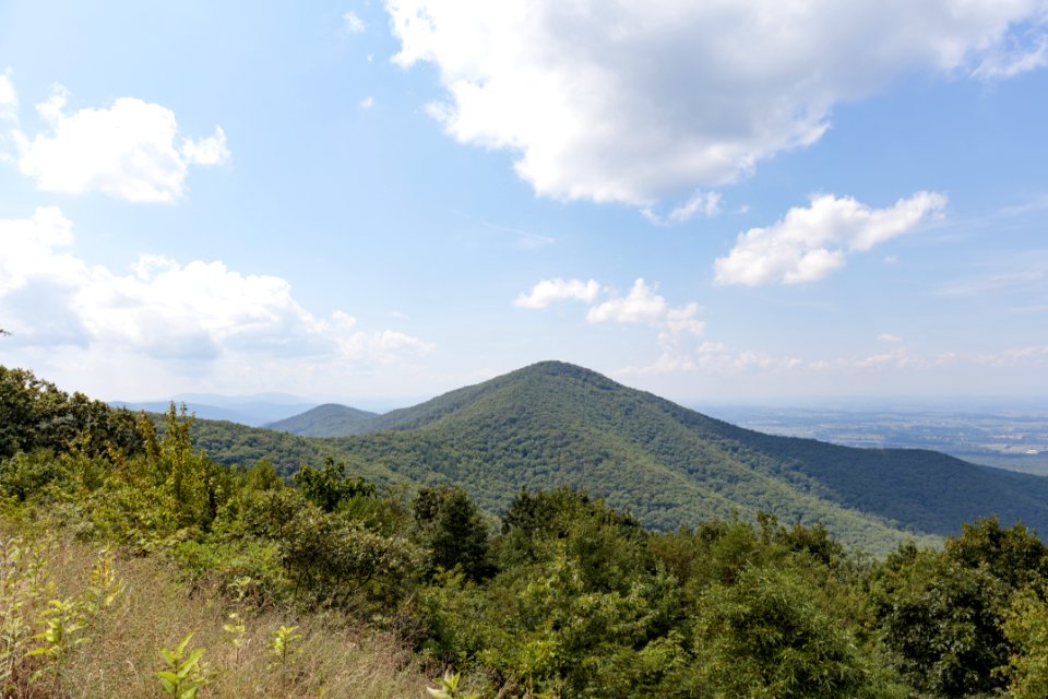 Turk Mountain Overlook