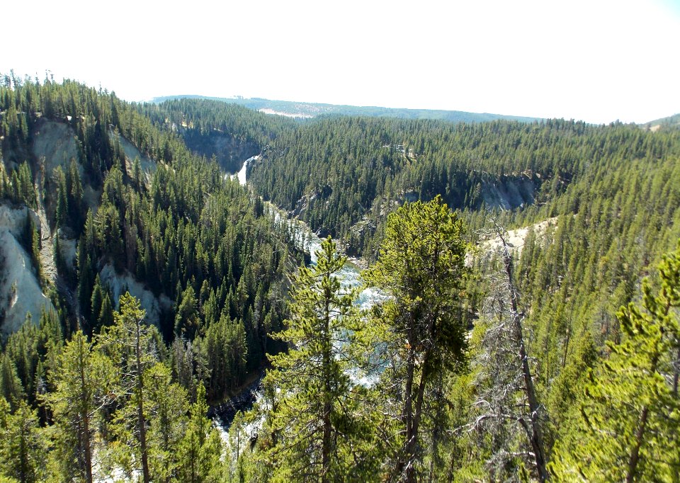 DSCN2949 20150912 115251