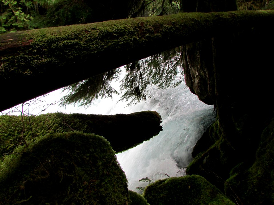 Waterfall at McKenzie River Trail in Central OR