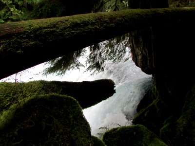 Waterfall at McKenzie River Trail in Central OR