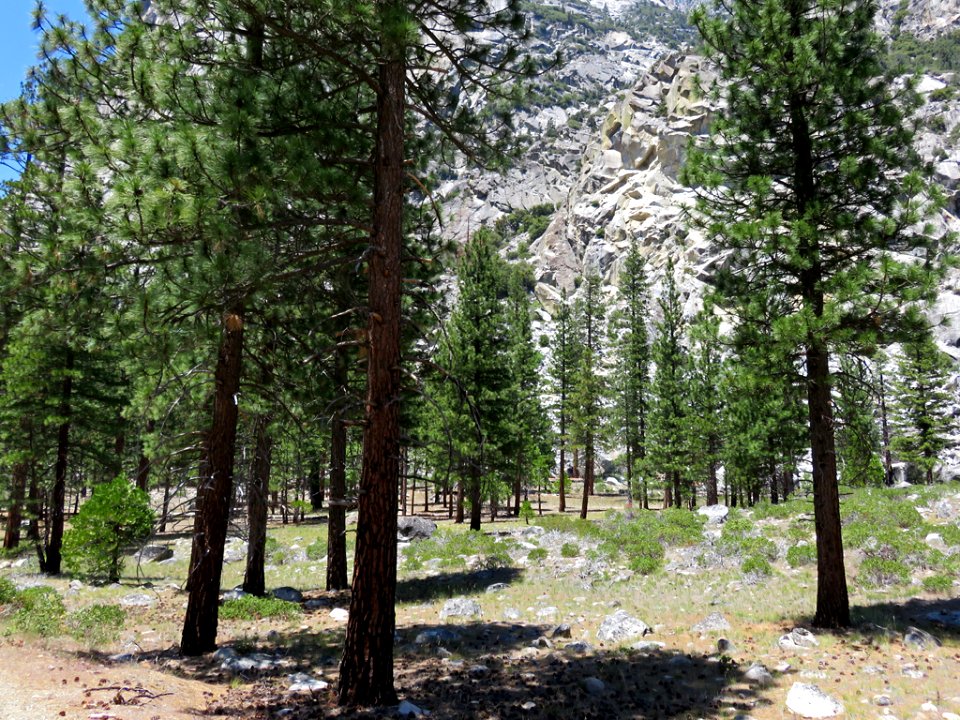 Cedar Grove at Kings Canyon NP in CA